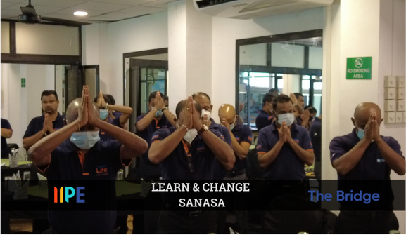 Partnering for Success: The Bridge International's Corporate Training Programs